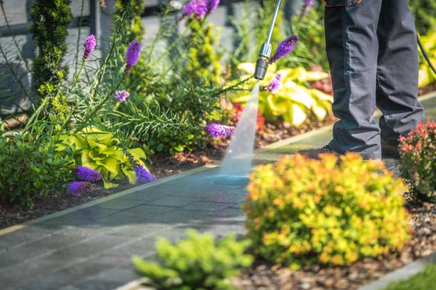 Best Residential Pressure Washing in Vega, TX
